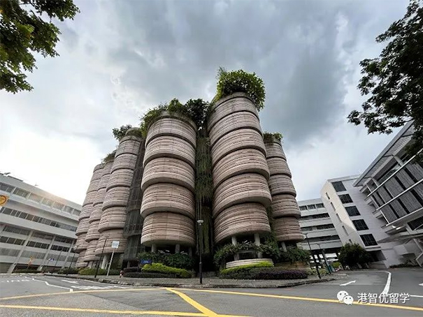 新加坡留学南洋理工大学.jpg