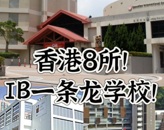 香港IB一条龙学校，仅此8所！