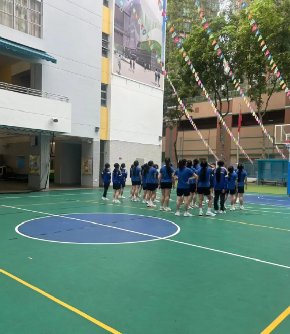 想去香港沙田区读中学，该怎么选学校？